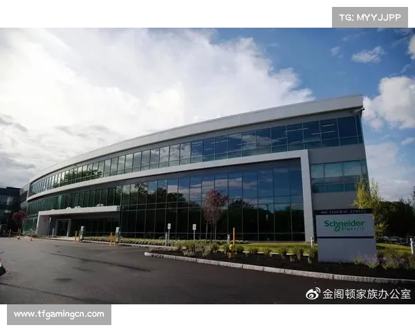 新加坡新建环保足球场助力联赛可持续发展成行业标杆 新加坡新建环保足球场助力联赛可持续发展成行业标杆